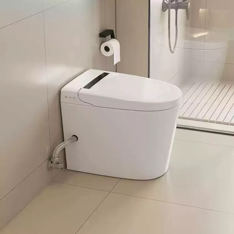 Moderne Minimalistisk Smart Toilet