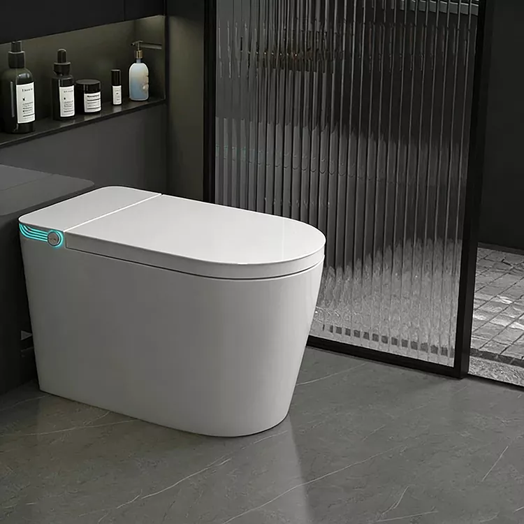 Trådløs fjernstyret sprøjtedyse Sterilisation Smart Toilet
